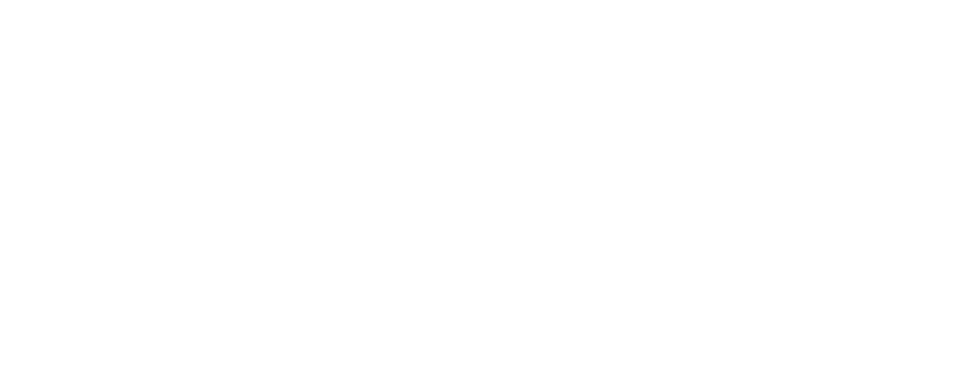 MMAI